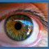 Eye Disease Education
