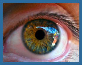 Eye Disease Education
